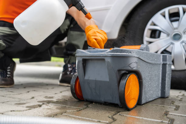 Trusted Los Chaves, NM Tree Removal Experts